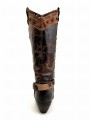 sendra 6.jpg