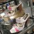 tanara r8184.jpg