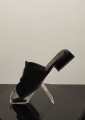 IMG20260730095033.jpg